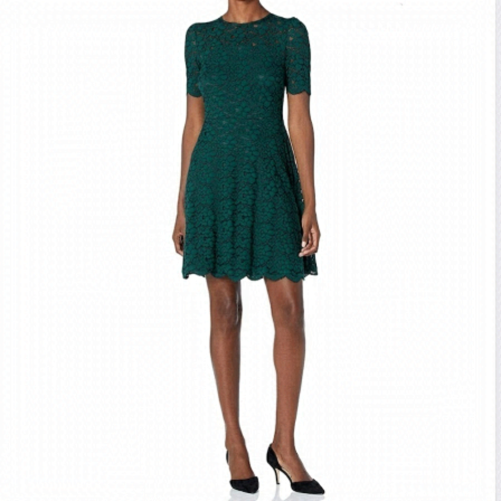 LARK & RO Deep Green Fit and Flare Crew Neck Sheath Stretch Lace Mini Dress